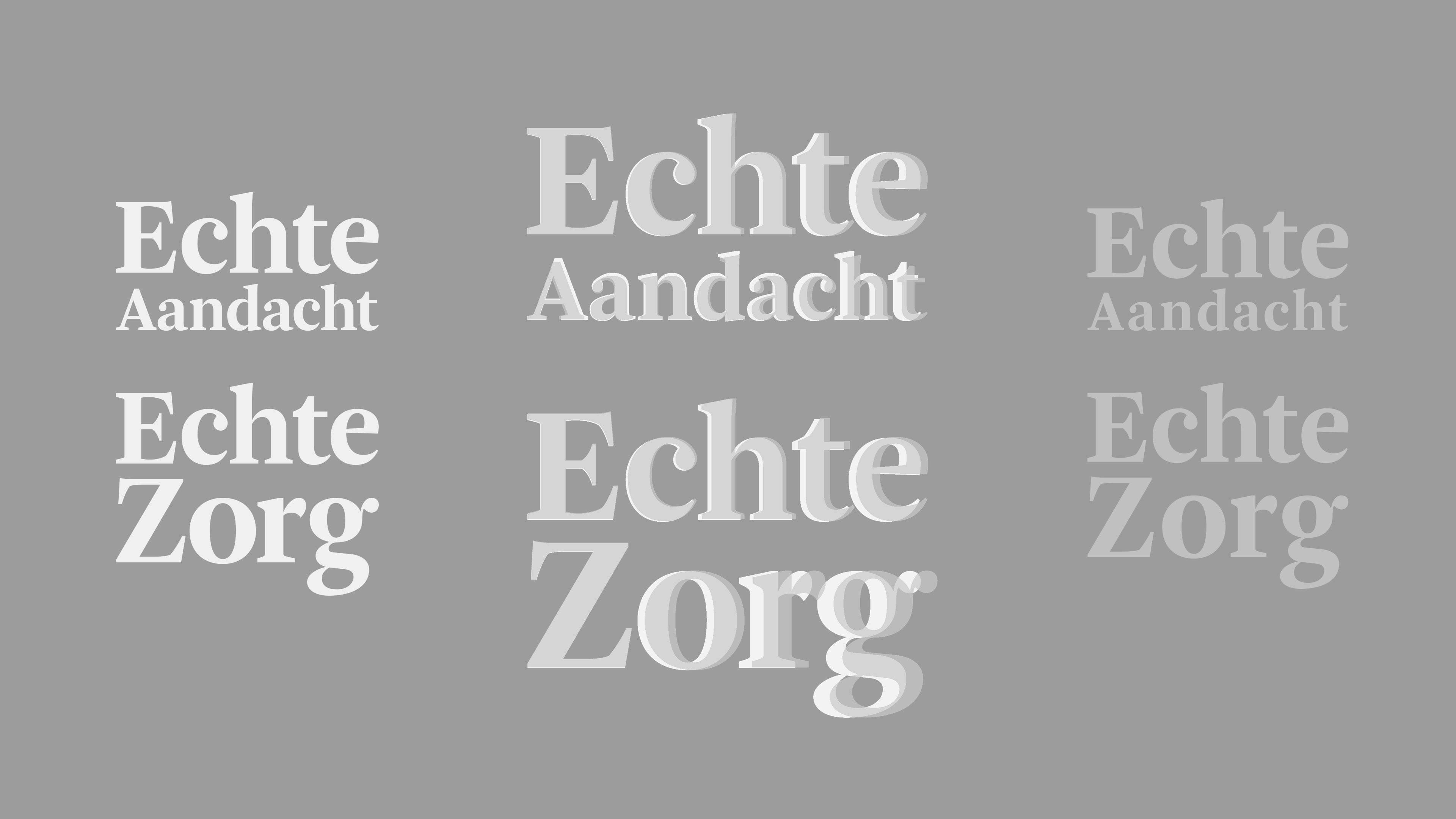 Typografie-verschillen voor beide logo's op groot en kleiner formaat