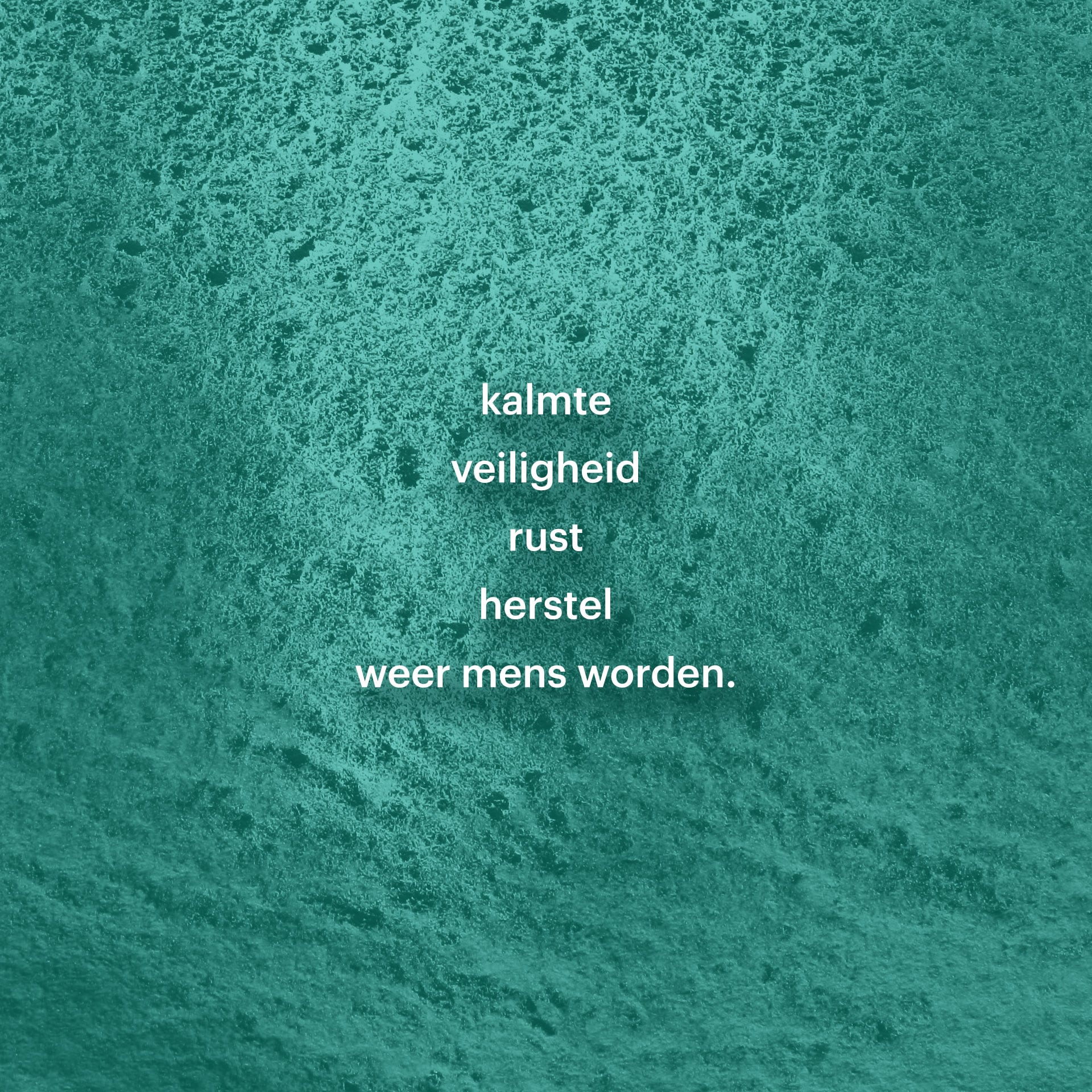 Sleutelwoorden voor Echte Zorg op de afbeelding van een oceaan in teal
