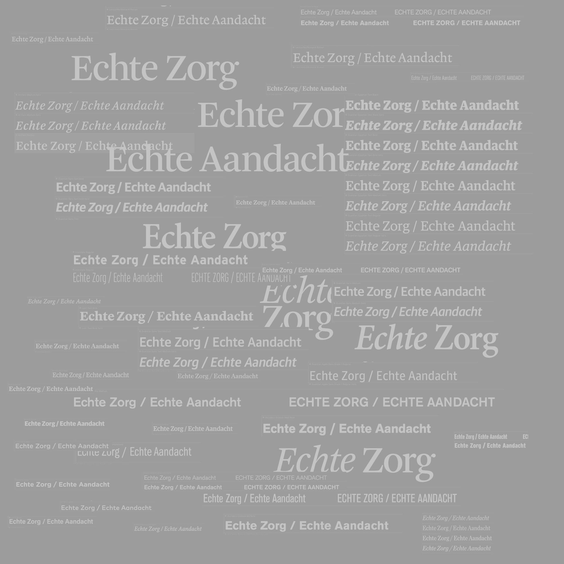 Verschillende concepten voor de typografie van beide logo's