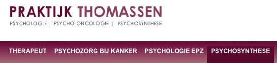 (Een deel van het hoofdmenu op de website van Praktijk Thomassen, 12 juni 2012)